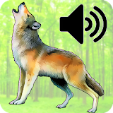 Decoy For Predator Sounds Of Hunting icon