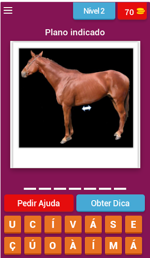 Anatomia Vet Locomotor/Neuro Screen 3
