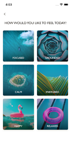 COMO Shambhala Anywhere Screen 3