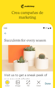 Captura 11 Mailchimp Email Marketing android