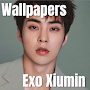 Exo Xiumin Wallpaper