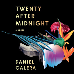 Icon image Twenty After Midnight: A Novel