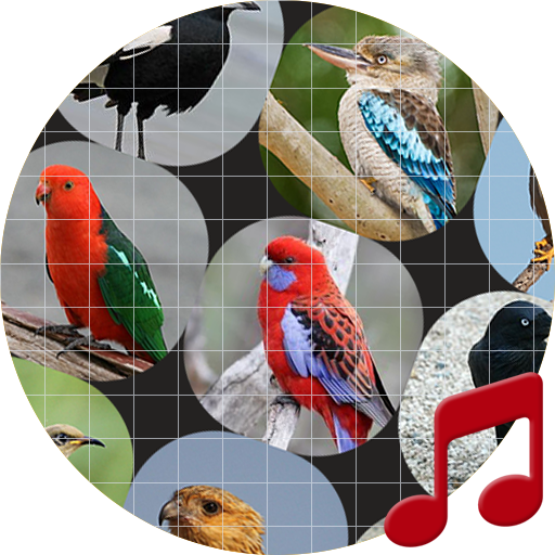 オーストラリアの鳥は Sboard Proサウンズ Google Play のアプリ