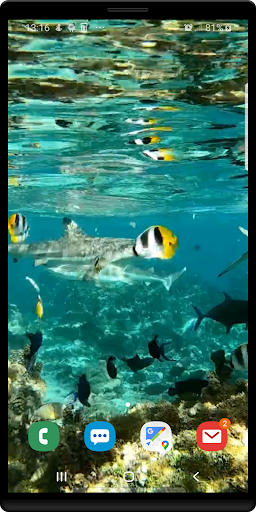 Underwater Live Wallpaper Screen 3