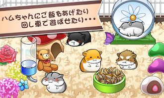 Game screenshot ハムスターライフ - 育成ゲーム mod apk