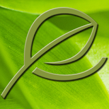 Verde Salon & Day Spa icon