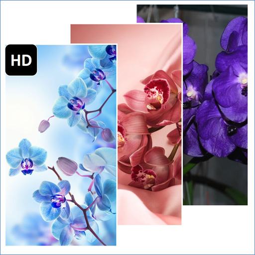 Orchid Flower Wallpaper - Apps on Google Play