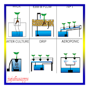 hydroponic systems