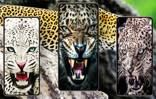 Leopard Wallpapers Screen 3