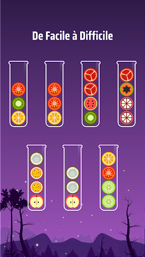 Ball Sort - Puzzle de Couleur  APK MOD screenshots 1