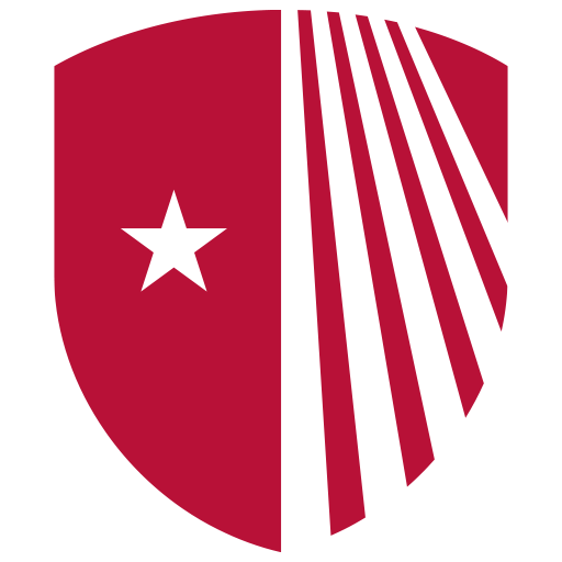 Stony Brook Virtual Care logo