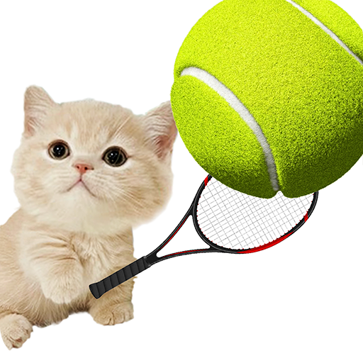 Cat Tennis Star Download on Windows