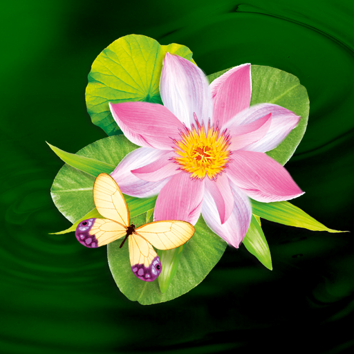 Butterflies Live Wallpaper logo