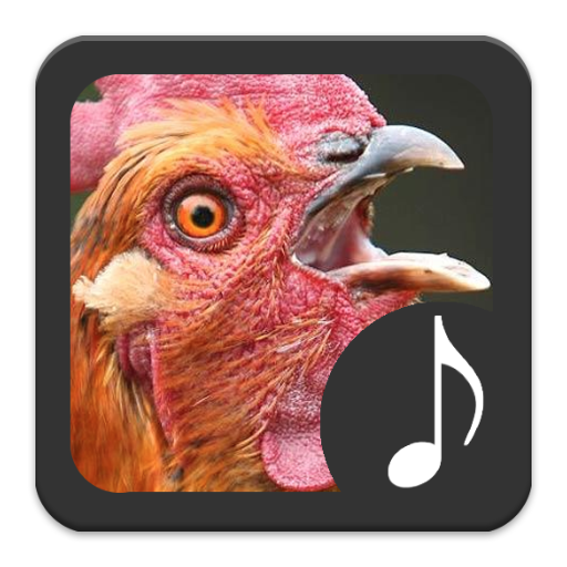 Chicken Sounds Google Play のアプリ