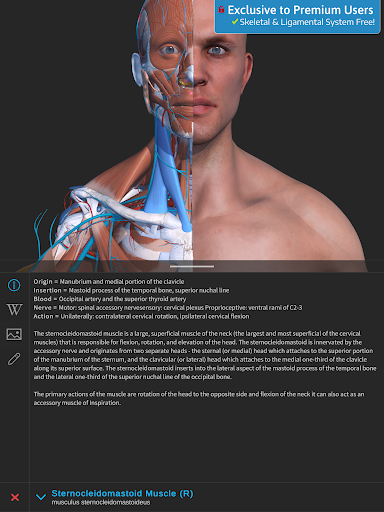 Screenshot of Visual Anatomy 3D - Human body