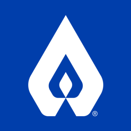Georgia Natural Gas