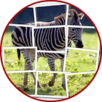 Zebra Puzzle