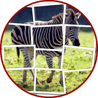 Zebra Puzzle