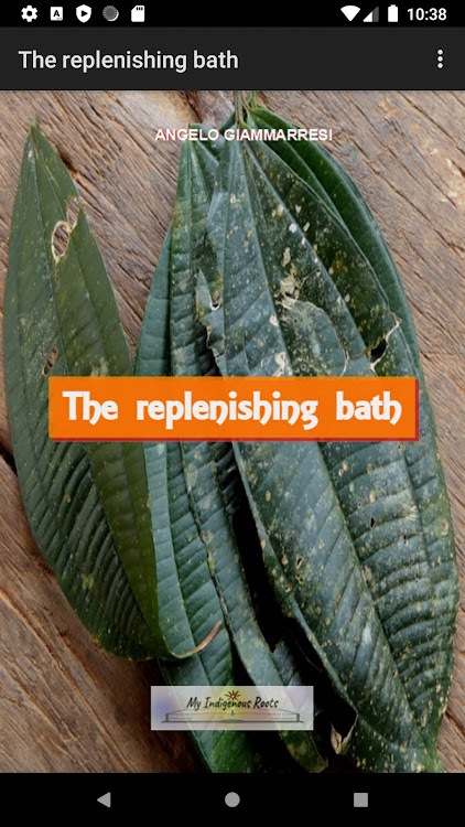 The replenishing bath - 1.0 - (Android)