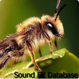 Insects Sounds icon