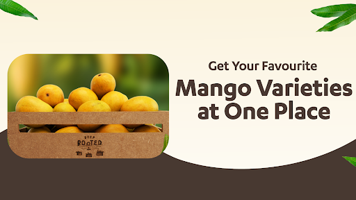 DeepRooted Fruits  Vegetables pro1