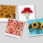 Cover Image of Скачать Flowers images app Maraga Apps APK
