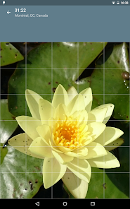 Captura 14 Rompecabezas: Flores android