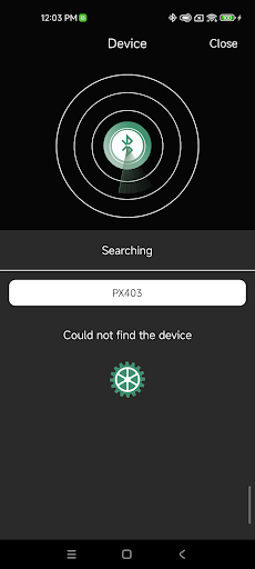 Royal Hearing Screen 2