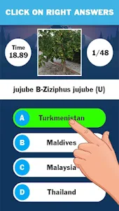 National Tree Quiz Game 2022