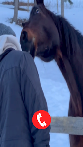 Horse Fake Video Call