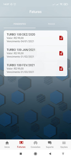 Conecta Link Cliente Screen 3