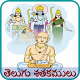 Telugu Satakamulu icon