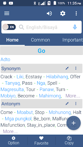 English To Cebuano Dictionary Screen 3