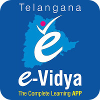 E-Vidya School