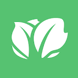 Kabbage  -  Small Business Loans icon