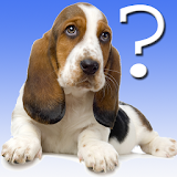 Dog Breed Quiz icon