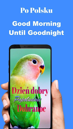 Android application Polish Good Morning to Night screenshort