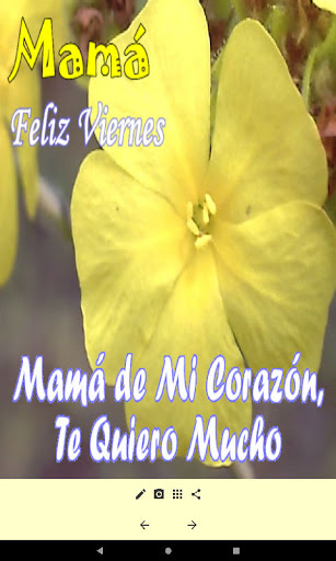 Mensajes para Madres