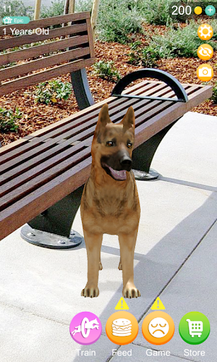 Android application Talking Dogs AR screenshort