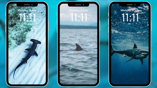 Shark Wallpapers 4K