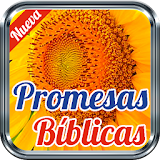 Promesas de Dios Promesas de la Biblia icon