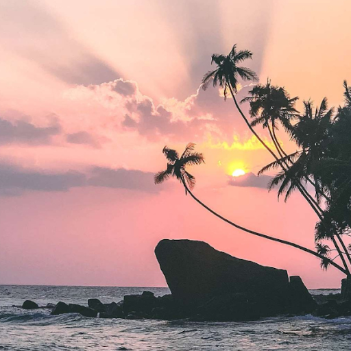Android application Paradise Wallpapers screenshort
