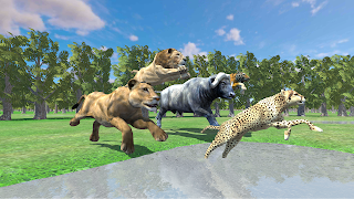 Angry Buffalo Wild Animal Race - Screenshot 1