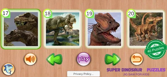 Super Dinosaur Puzzles