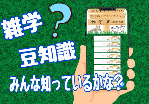 Download 知らなくてもいい雑学クイズ 完全無料 豆知識 脳トレ トリビア 暇つぶしゲーム Free For Android 知らなくてもいい雑学クイズ 完全無料 豆知識 脳トレ トリビア 暇つぶしゲーム Apk Download Steprimo Com