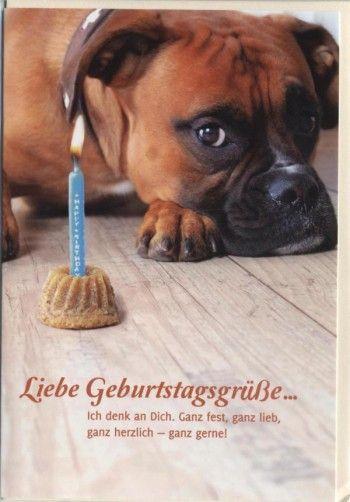 Nachträglich zum geburtstag englisch