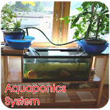 Aquaponics System icon