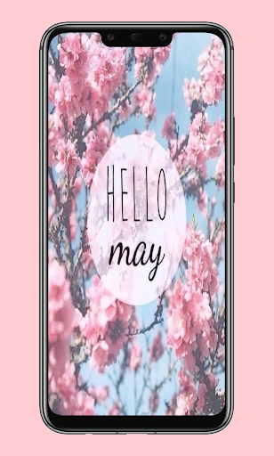 hello may Screen 2