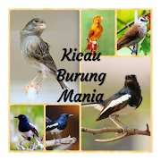 Masteran Suara Burung Cendet Full Isian Juara MP3