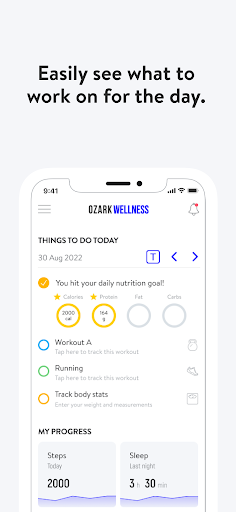 Screenshot of Ozark Wellness